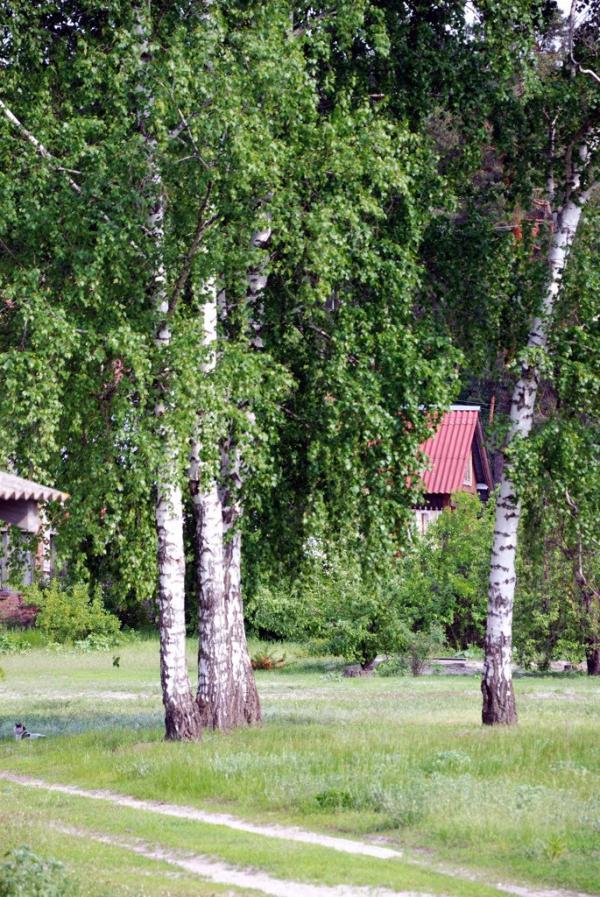 Пильнянка з panoramio.com - Пыльнянка