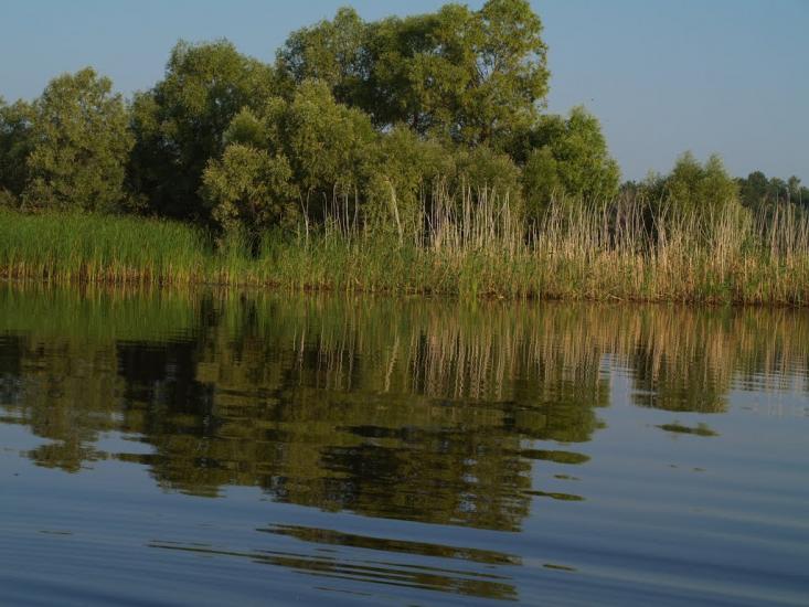 Шабельники з panoramio.com - Шабельники