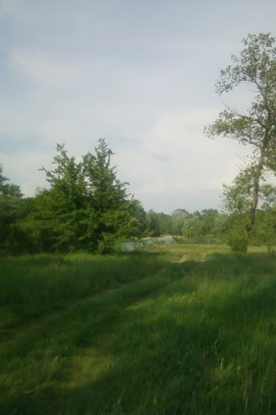 Самусіївка з panoramio.com - Самусіївка