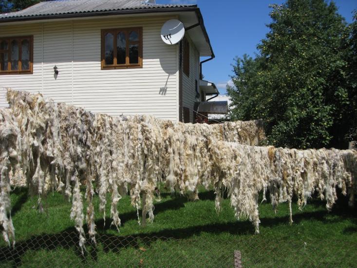 Соколівка з panoramio.com - Sokolivka