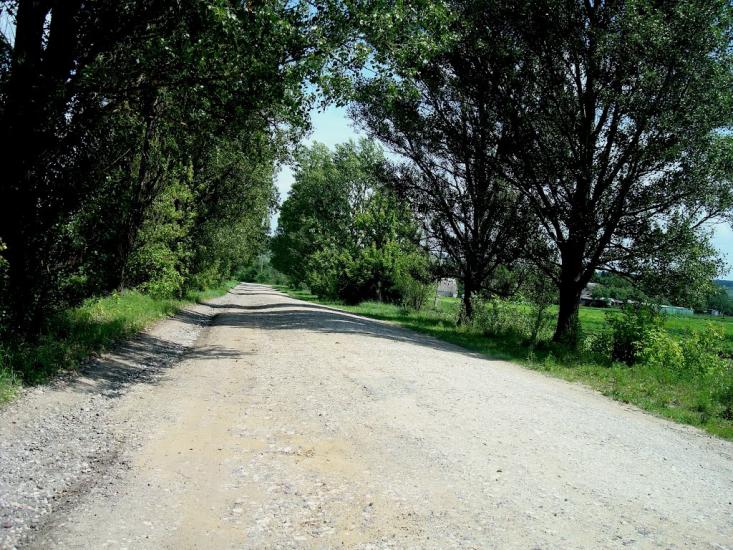 Черепова з panoramio.com - Черепова