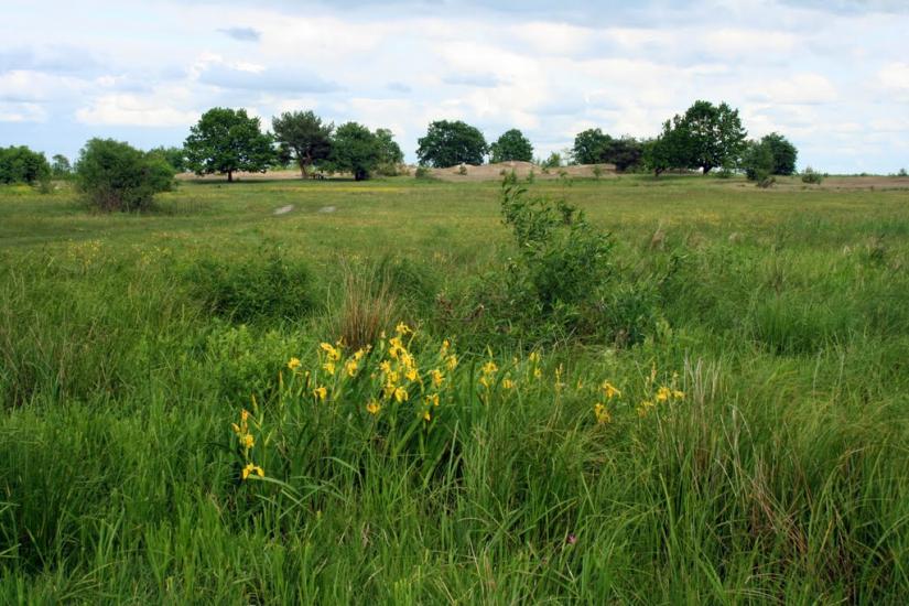 Хабарище з panoramio.com - Хабарище