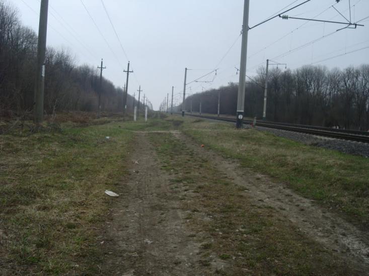 Стодульці з panoramio.com - Stodultsi