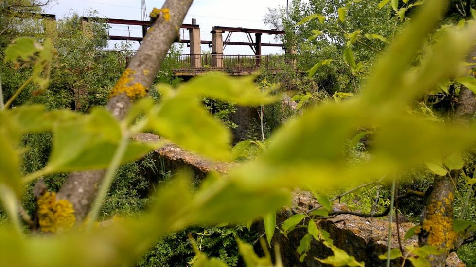 Перегонівка з panoramio.com - Перегонівка