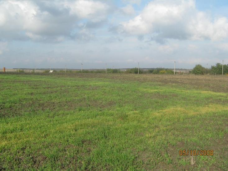 Вакулівка з panoramio.com - Вакулівка