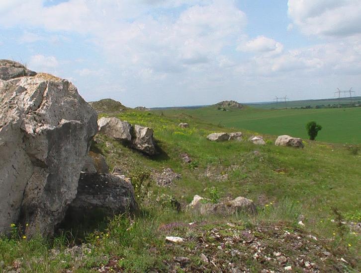 Біла з panoramio.com - Белая