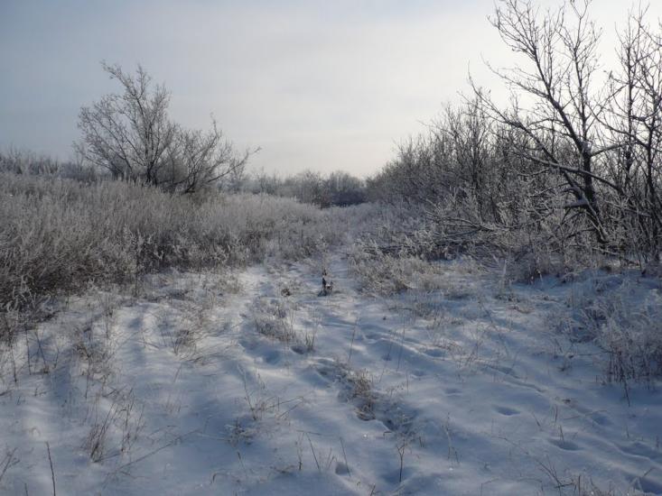 Великий Бурлук з panoramio.com - Великий Бурлук