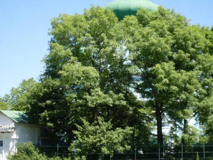 Гранів з panoramio.com - Graniv