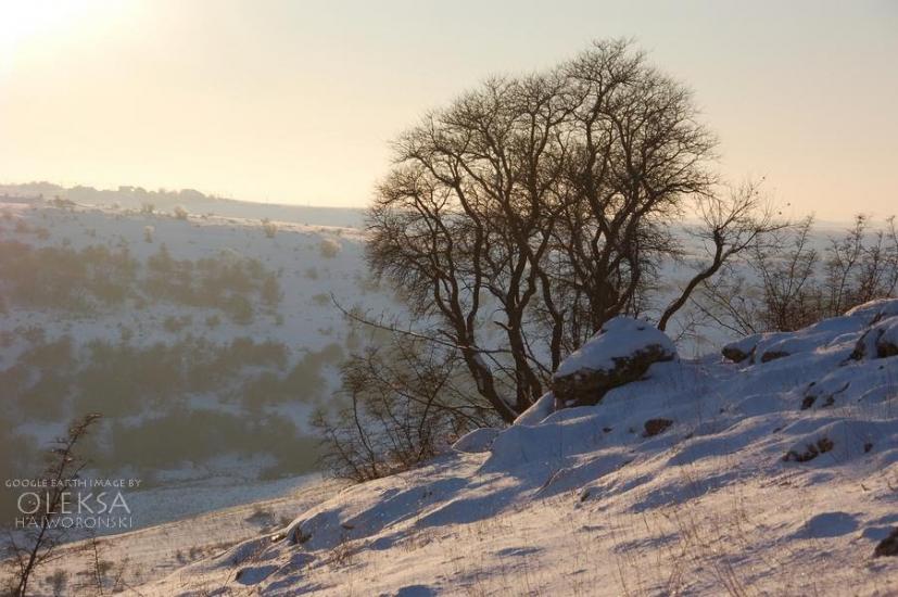 Рєпіне з panoramio.com - Рєпіне