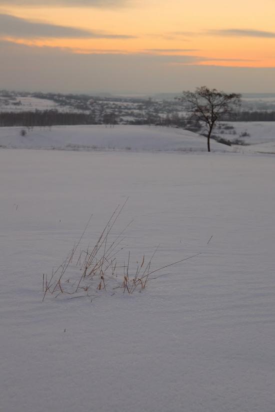 Черкаська Лозова з panoramio.com - Черкасская Лозовая