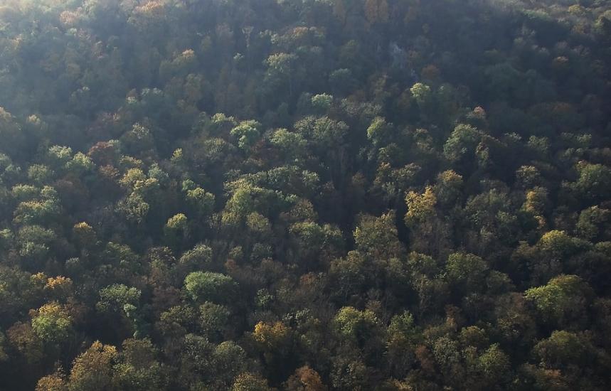 Іванківці з panoramio.com - Ivankivtsi
