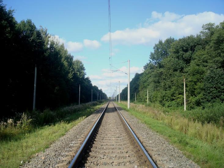 Дубіївка з panoramio.com - Дубиевка