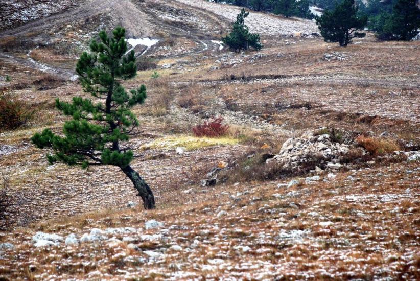 Многоріччя з panoramio.com - Многоречье