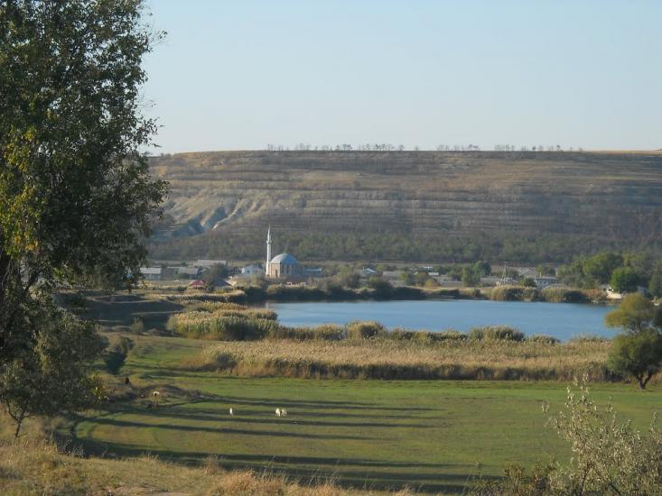 Чистеньке з panoramio.com - Чистенькое