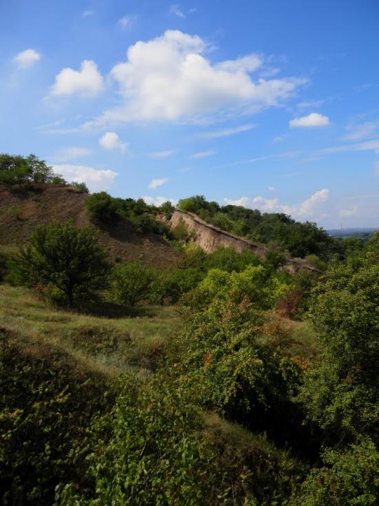 Карнаухівка з panoramio.com - Karnaukhivka