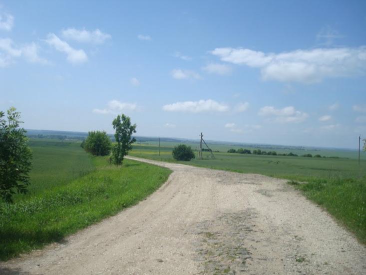 Черепова з panoramio.com - Черепова