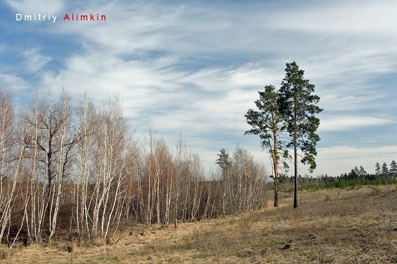 Старий Караван з panoramio.com - Staryy Karavan