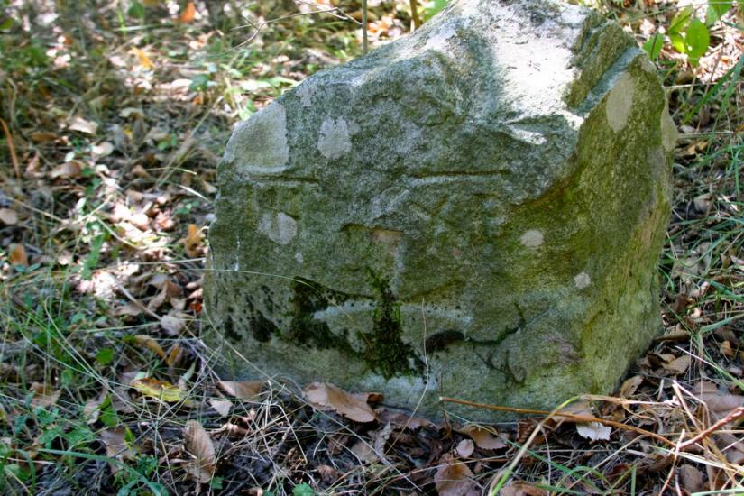 Луковиця з panoramio.com - Луковица