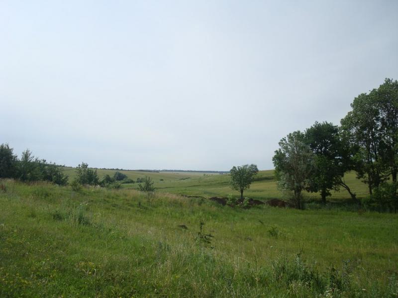 Ружичанка з panoramio.com - Ruzhychanka
