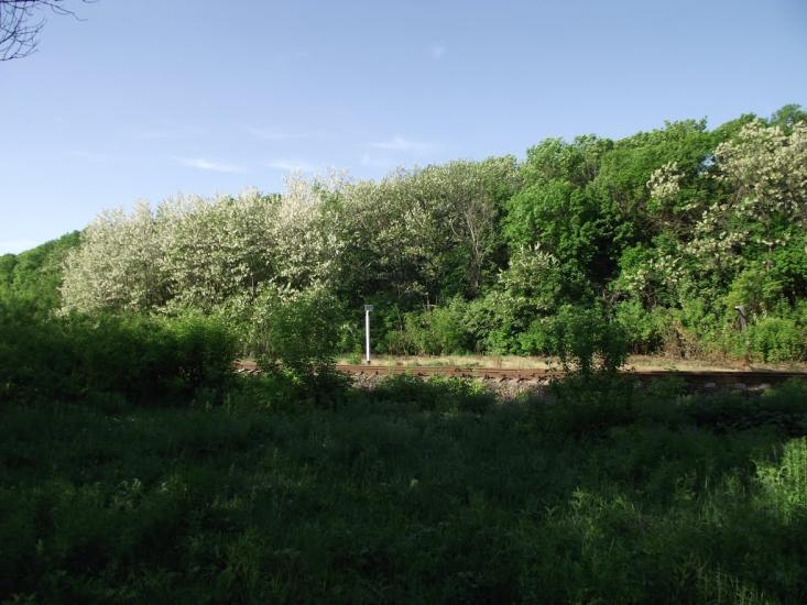 Калінінський з panoramio.com - Калининский