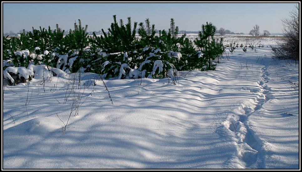 Литовеж з panoramio.com - Литовеж