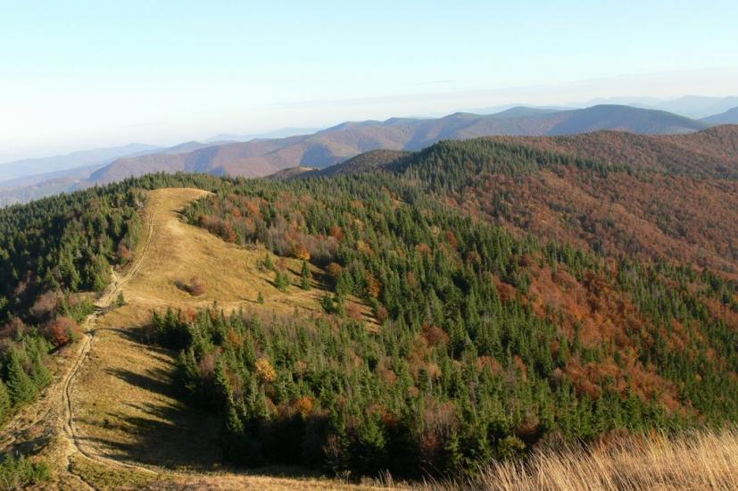 Кам'янка з panoramio.com - Каменка