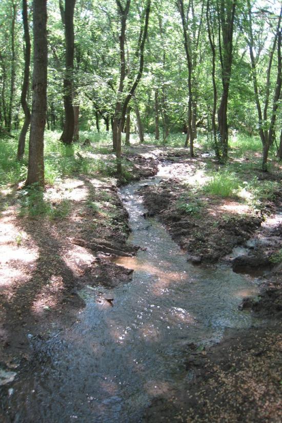 Зуївка з panoramio.com - Зуевка