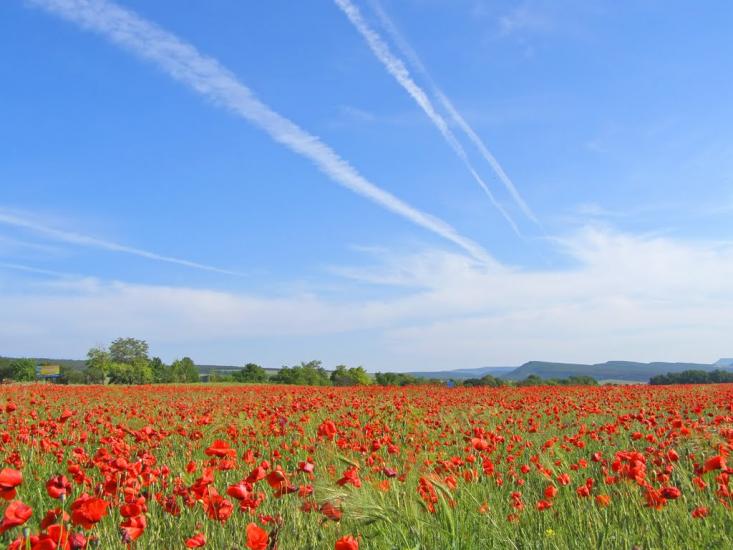 Левадки з panoramio.com - Levadky