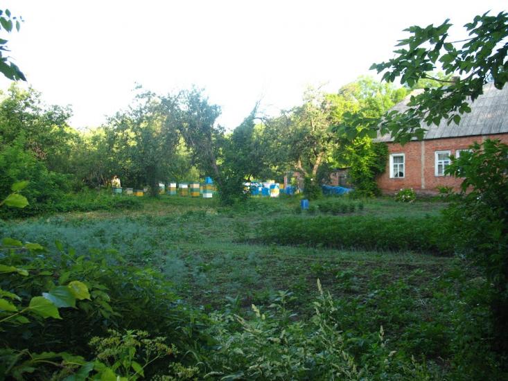 Приліпка з panoramio.com - Прилипка