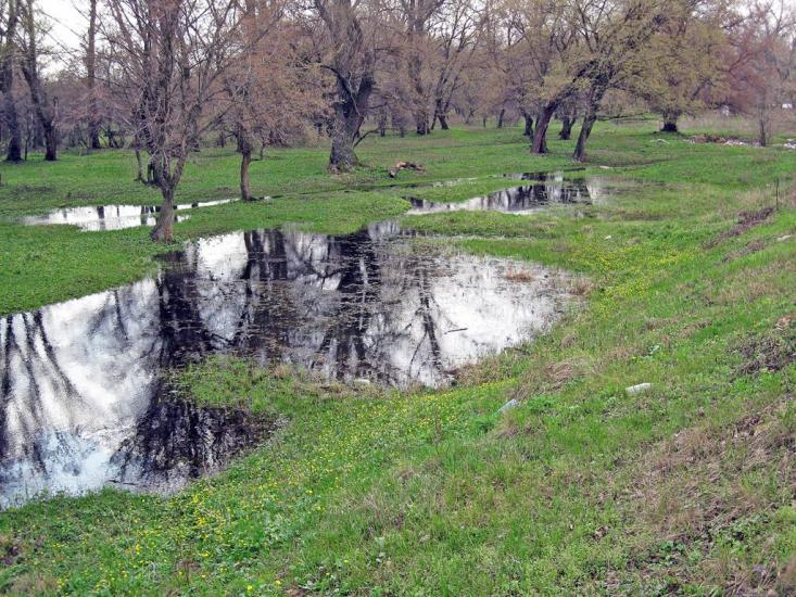 Валуйське з panoramio.com - Валуйское