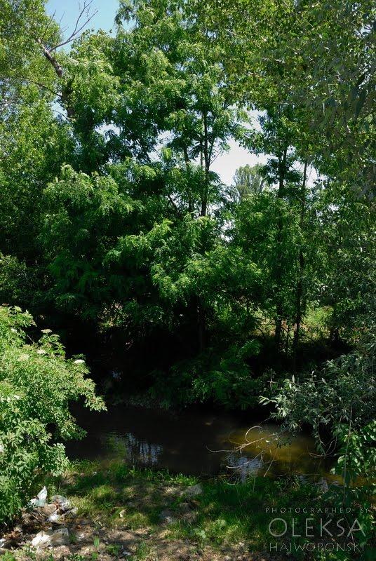 Айвове з panoramio.com - Айвовое