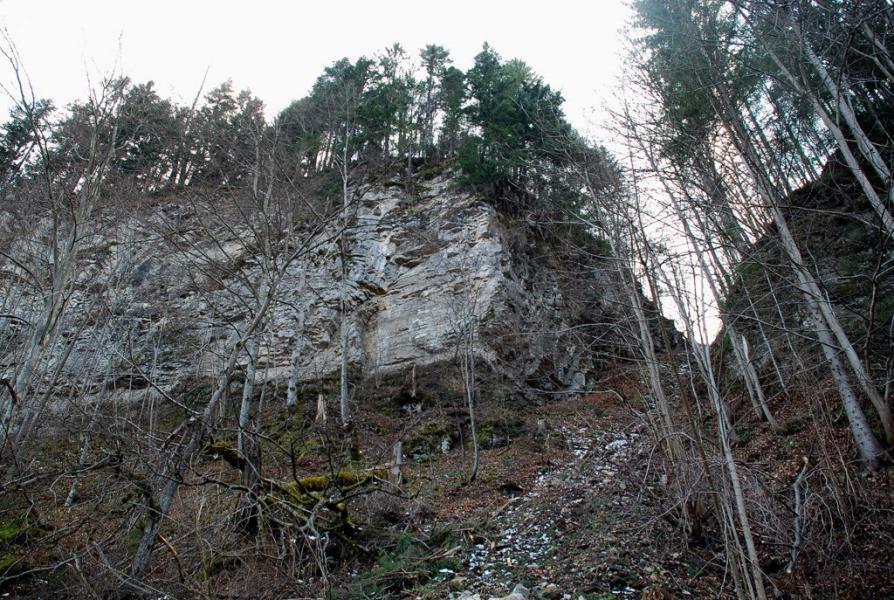 Букове з panoramio.com - Букове