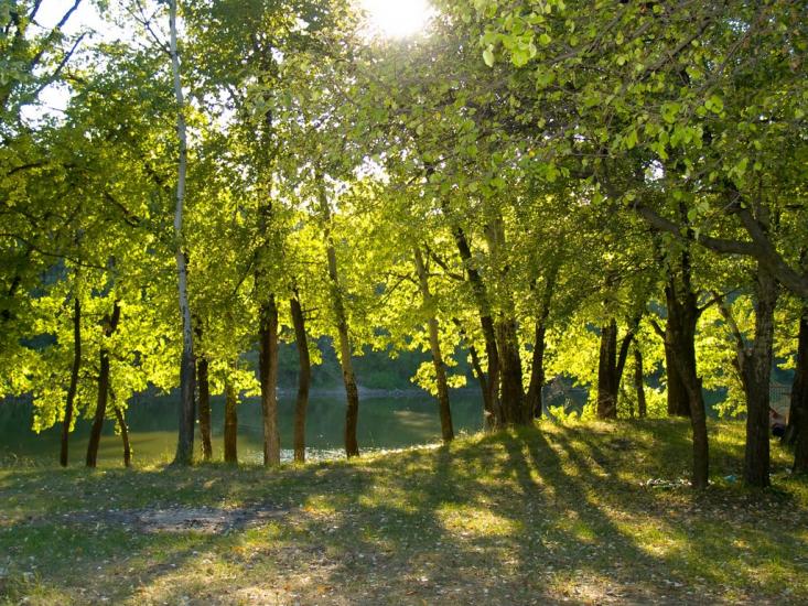Нижнє з panoramio.com - Nyzhnye