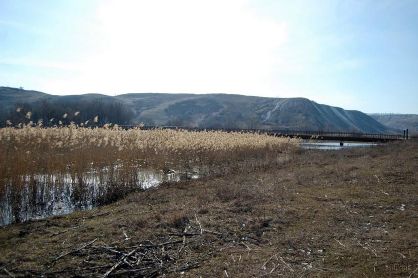 Новопсков з panoramio.com - Новопсков