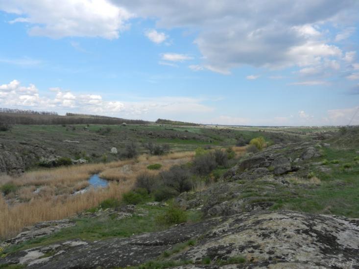 Токівське з panoramio.com - Tokivske