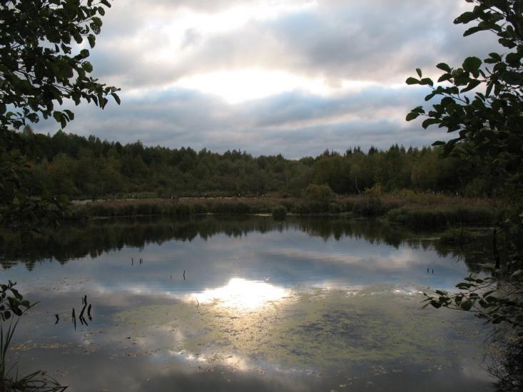 Дернаки з panoramio.com - Дернаки