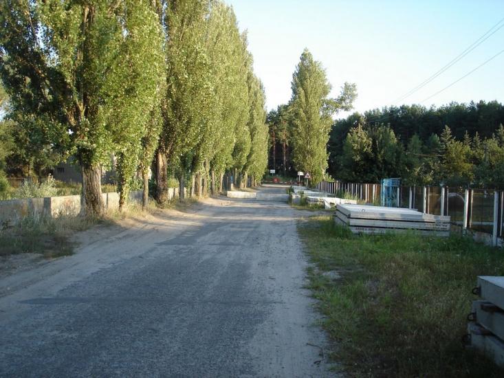 Козаровичі з panoramio.com - Kozarovychi