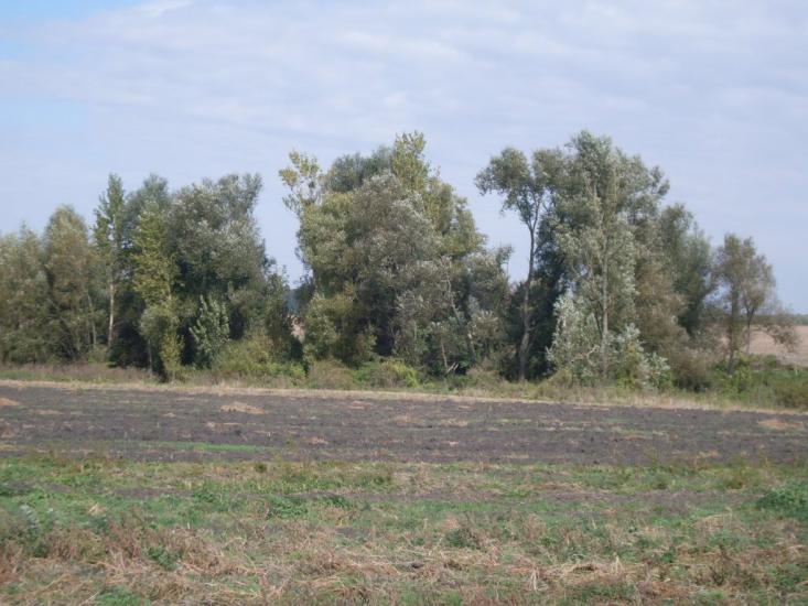 Харпачка з panoramio.com - Харпачка