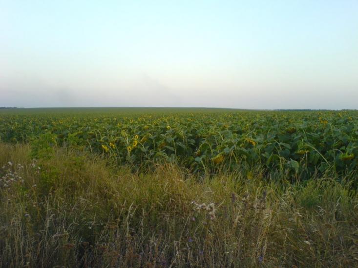 Билбасівка з panoramio.com - Билбасівка