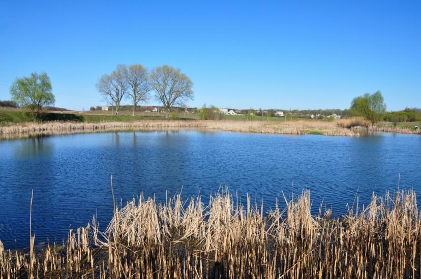 Кожухівка з panoramio.com - Кожуховка