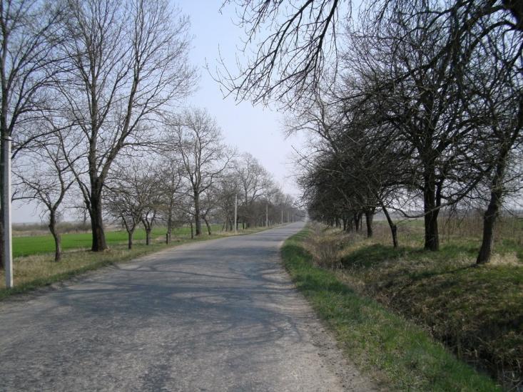 Нижній Коропець з panoramio.com - Нижній Коропець