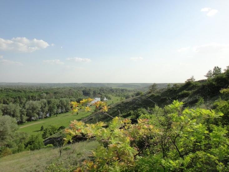 Сидорове з panoramio.com - Сидорове