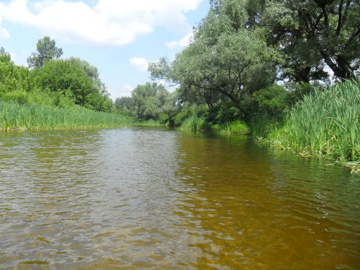 Лабурівка з panoramio.com - Лабуревка