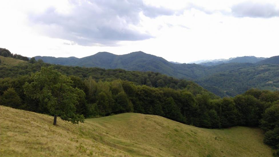 Прокурава з panoramio.com - Прокурава