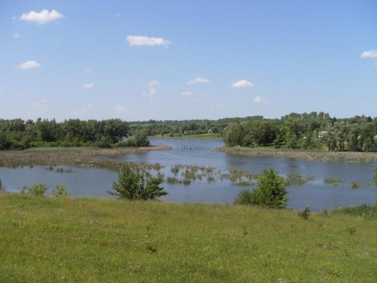 Чернявка з panoramio.com - Chernyavka