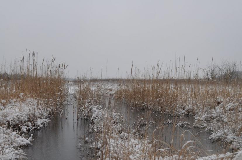 Саги з panoramio.com - Саги
