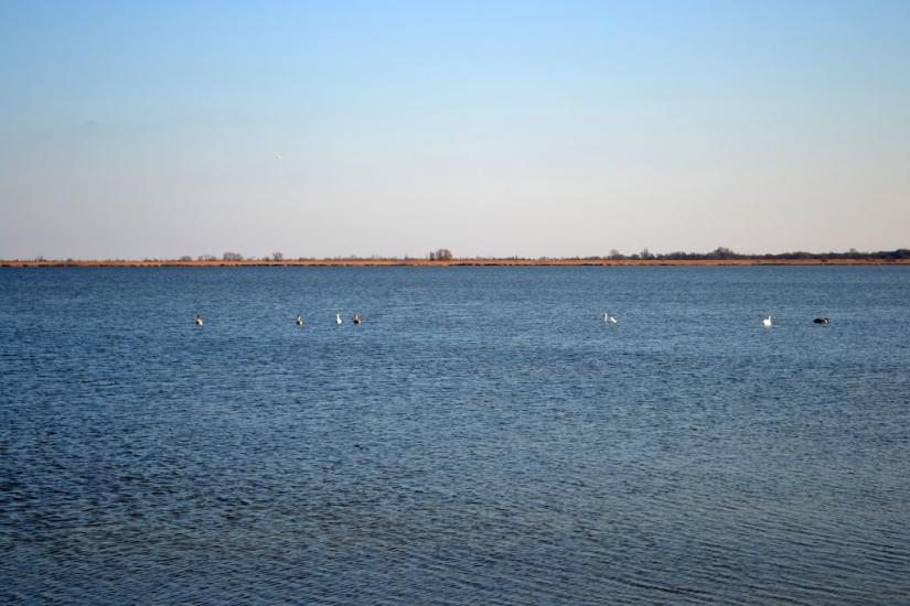 Дарівка з panoramio.com - Даровка