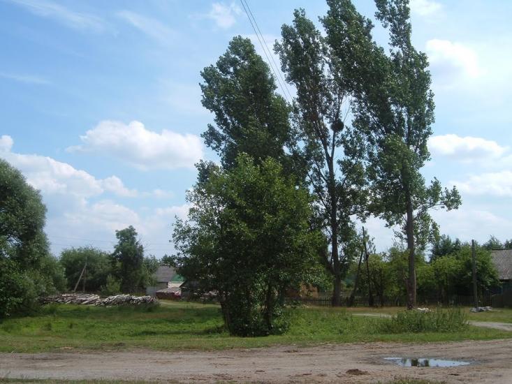 Рудня-Новенька з panoramio.com - Рудня-Новенька