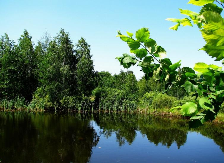 Мелені з panoramio.com - Мелени