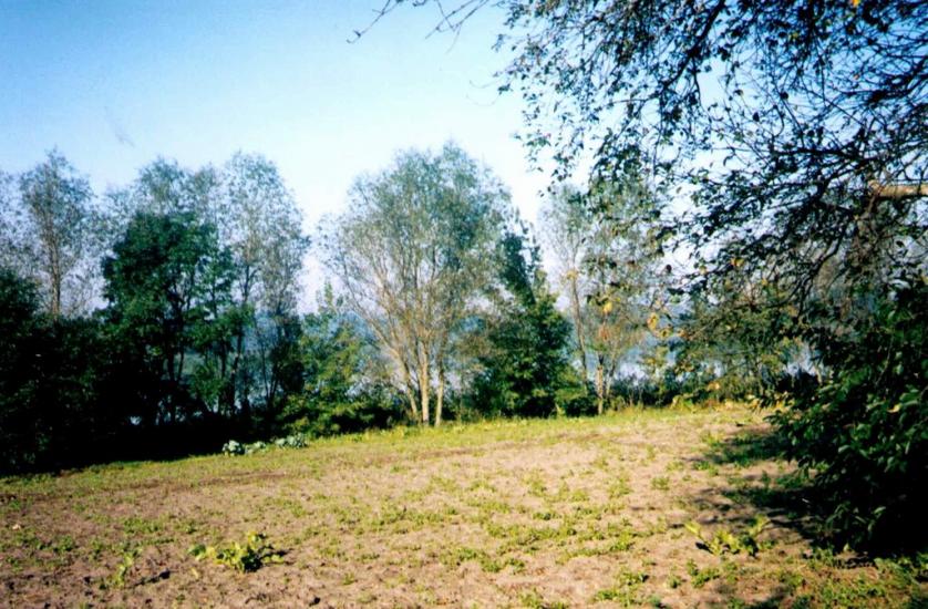 Бабинці з panoramio.com - Бабинцы